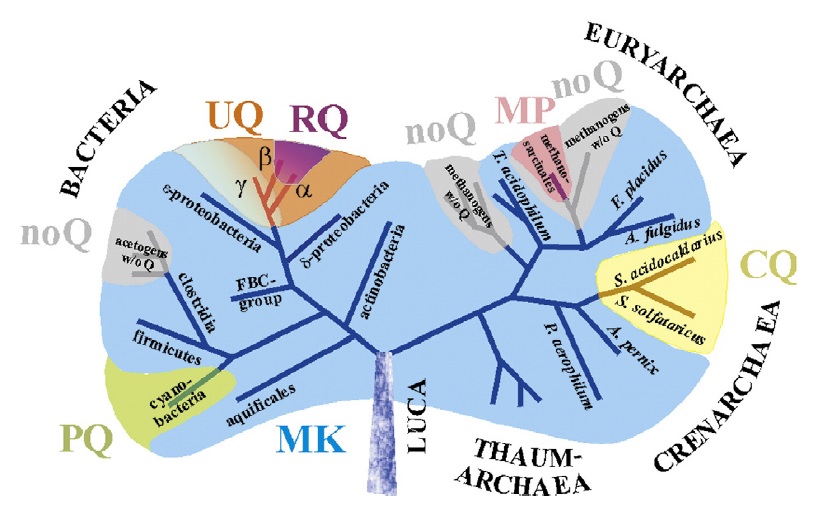 Protein Crystallization and Crystallography I -First insight into principles of structural biology 3