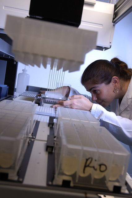 Protein expression screening in E.coli