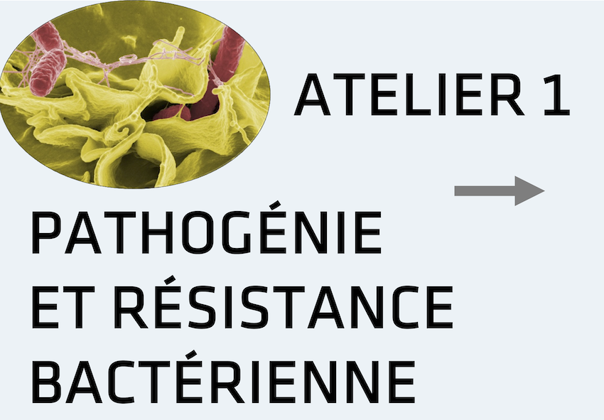 Master de Microbiologie 161