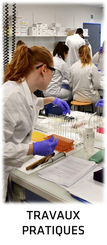 Master de Microbiologie 118